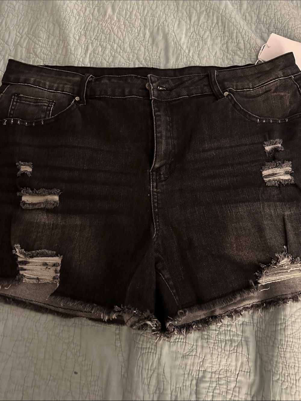 Women's Black Distressed Denim Jean Shorts